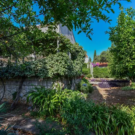 Vizmeg ドゥブロブニク