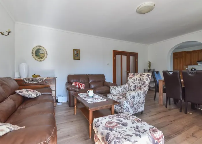 Vizmeg دوبروفينك