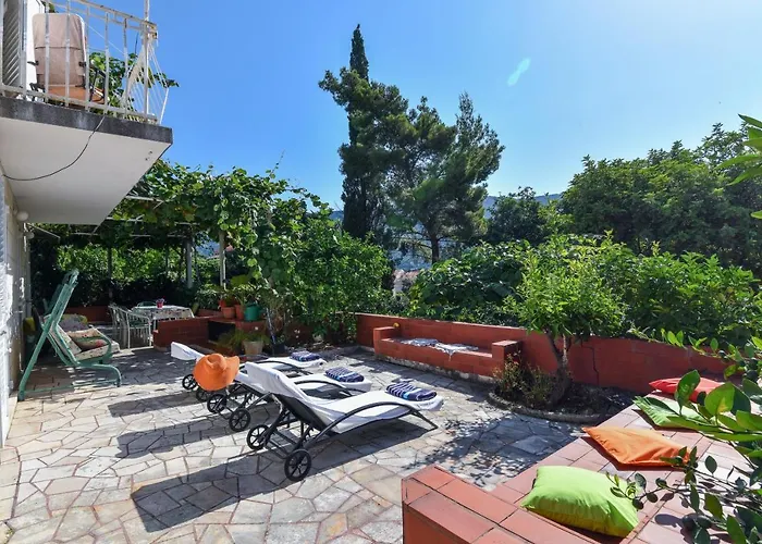 فيلة Vizmeg دوبروفينك