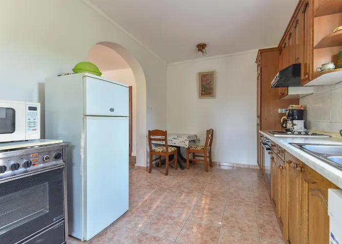 Vizmeg * دوبروفينك